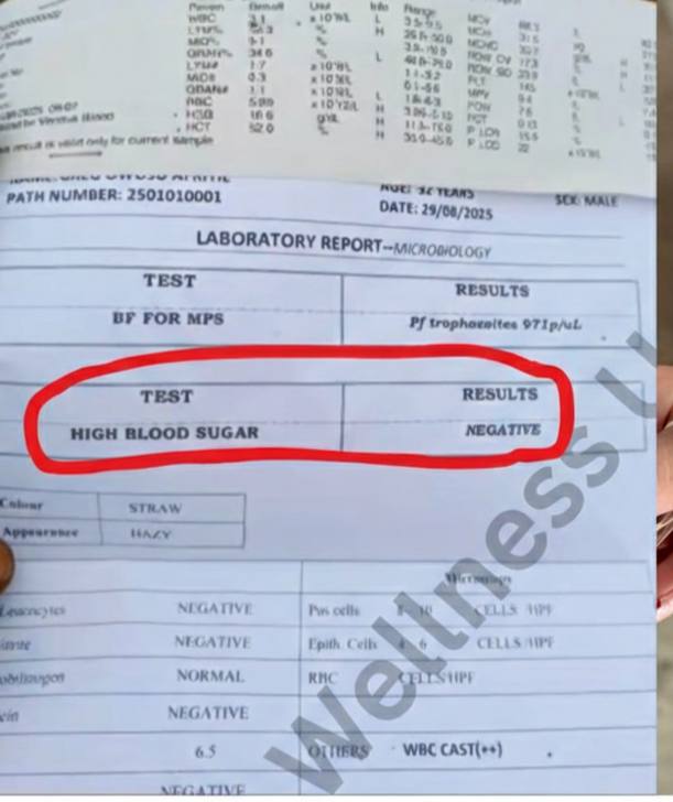 Result 4